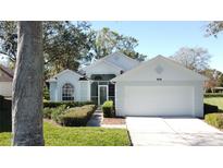 Light blue house with two-car garage and landscaped yard at 3507 Tenby Cir, Clermont, FL 34711