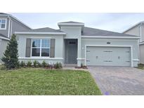 One-story home with gray exterior, two-car garage, and landscaped lawn at 2577 Great Heron Ave, Saint Cloud, FL 34773