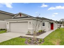 Charming one-story home with a two-car garage, a red door, and a well-maintained front yard at 8377 Wilder Pines Ave, Lakeland, FL 33809