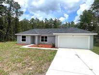 Charming single-story home with a well-maintained lawn and a two-car garage in a wooded neighborhood at 161 Fisher Crse, Ocklawaha, FL 32179