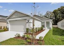 Charming single-story home featuring a two-car garage and a well-manicured lawn and landscaping at 8645 Caribbean Pine Way, Lakeland, FL 33809