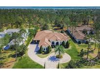 Expansive aerial view of a luxurious estate with sprawling grounds and a meticulously designed circular driveway at 16828 Vinci Way, Montverde, FL 34756