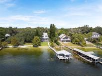 Stunning waterfront homes featuring private docks on a serene lake setting at 12428 Summerport Ln, Windermere, FL 34786