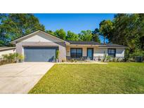 Charming single-story home featuring a well-manicured lawn, desert landscaping, and a gray two-car garage at 675 Shady Nook Dr, Clermont, FL 34711