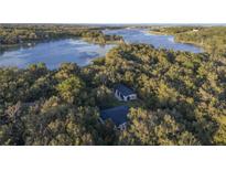 Aerial view of a home nestled in a wooded area near a lake at 17577 Davenport Rd, Winter Garden, FL 34787