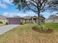 Charming one-story home with a well-manicured lawn, mature tree, and a two-car garage at 1147 Degraw Dr, Apopka, FL 32712