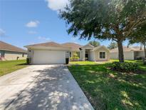 Charming single-story home with a well-manicured lawn and mature landscaping at 1147 Degraw Dr, Apopka, FL 32712