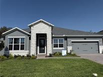 Charming single-story home with a stone entryway, gray siding, well-manicured lawn, and a two-car garage at 371 Lady Palm St, Apopka, FL 32703