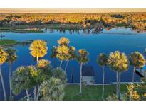 Beautiful aerial view of a waterfront property with palm trees and a private dock along the river at 1043 Lemon Bluff Rd, Osteen, FL 32764