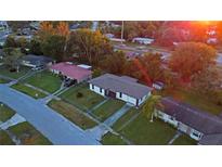 Wide aerial shot of residences on large landscaped lots with mature trees in a suburban setting at 1048 Wakefield Cir, Deltona, FL 32725