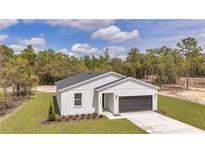 Beautiful one-story home featuring a two-car garage, manicured lawn, and attractive exterior at 12561 Sw 81St St, Dunnellon, FL 34432