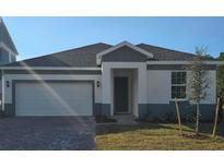 Beautiful single-story home with a two-car garage, covered entryway, and manicured landscaping at 2063 Town Pasture Dr, Eustis, FL 32726