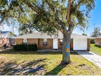 Brick home with a large tree in the front yard and a two-car garage at 825 Kottle S Cir, Daytona Beach, FL 32114