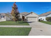 One-story house with a two-car garage and well-manicured lawn at 273 St Georges Cir, Eagle Lake, FL 33839
