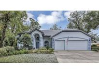 Two-story house with a two car garage and landscaped front yard at 2376 Park Village Pl, Apopka, FL 32712