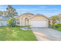 Cute one-story house with a well-maintained lawn and attached garage at 1174 Whispering Winds Ct, Apopka, FL 32703