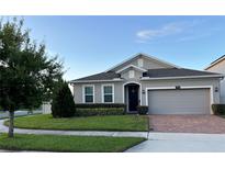 One-story house with gray siding, a two-car garage, and a well-manicured lawn at 3333 Wauseon Dr, Saint Cloud, FL 34772