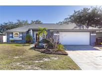 One-story home with a white garage door and landscaped yard at 1325 Paperwoods Dr, St Cloud, FL 34772