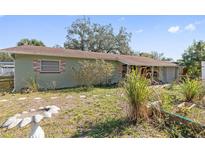 Ranch style home with mature landscaping and a spacious yard at 1613 Oriole Ave, Orlando, FL 32803