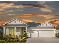 Attractive one-story home with a two-car garage and landscaping at 17791 Passionflower Cir, Clermont, FL 34714