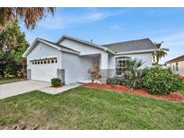 Single-story house with a two-car garage and landscaped lawn at 2610 Autumn Creek Cir, Kissimmee, FL 34747