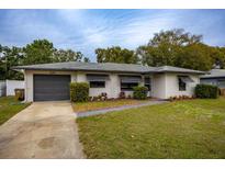 Ranch-style home with gray garage door, landscaped lawn, and driveway at 2585 Northland Rd, Mount Dora, FL 32757