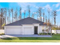 Two-story house with gray roof, two-car garage, and landscaped yard at 15159 Silver Eagle Rd, Groveland, FL 34736