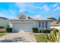 One-story house with white exterior, two-car garage, and well-maintained landscaping at 5024 St Andrews Arc, Leesburg, FL 34748