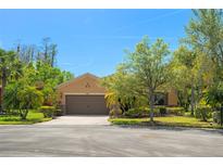 Charming single-story home featuring a well-maintained lawn and attached two-car garage at 800 Ebb Tide Ln, Kissimmee, FL 34759