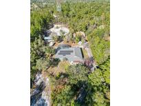 Property overview showcasing the house and surrounding land at 3290 Red Fox Dr, Deltona, FL 32725