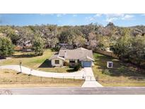 Aerial view of a single-story house with a large backyard and basketball court at 16036 3Rd St, Umatilla, FL 32784