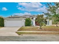 One-story home with solar panels, attached garage, and landscaped yard at 431 Pheasant Dr, Haines City, FL 33844