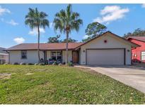 Inviting single-story home with a well-maintained lawn and palm trees at 711 Kristina Ct, Port Orange, FL 32127