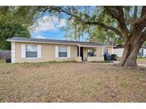Tan house with blue door, white shutters, and a large tree in the front yard at 1404 Adair St, Ocoee, FL 34761