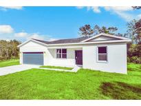 Newly constructed home with a gray garage door and lush lawn at 14 Fisher Loop Pass, Ocklawaha, FL 32179