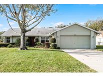 Single-story house with attached garage and well-maintained lawn at 4818 Breezy Palms Ct, Windermere, FL 34786