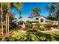 Single-story home with metal roof, stone accents, and lush landscaping at 9229 Lake Hickory Nut Dr, Winter Garden, FL 34787