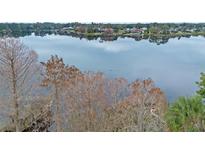 A beautiful lake view property showcasing stunning waterfront scenery and tree lined shore at 3658 N Econlockhatchee Trl, Orlando, FL 32817