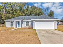 Single-story house with attached garage, and a blue front door at 43 Water Track Dr, Ocala, FL 34472