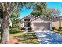 Attractive single-story house with landscaped lawn and driveway at 3713 Doune Way, Clermont, FL 34711