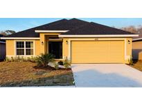 Newly constructed single-story house with a two-car garage and manicured lawn at 4464 Sagefield Dr, Harmony, FL 34773