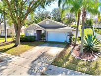 Charming single-story home with a well-manicured lawn, mature trees, and a two-car garage, set in a tranquil neighborhood at 2029 Knollcrest Dr, Clermont, FL 34711