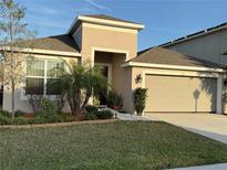 Tan one-story house with brown roof, two-car garage, and landscaped yard at 2366 Turtleback Loop, Orlando, FL 32824