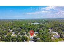 Aerial view of a home nestled amidst lush greenery and a tranquil lake at 2243 Davis Dr, New Smyrna Beach, FL 32168
