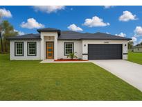 Beautiful single-story home featuring a well-manicured lawn, a modern door and a two car garage at 13836 Sw 27Th Ter, Ocala, FL 34473