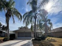 Charming single-story home features a screened garage, well-manicured landscaping, and mature palm trees at 21636 King Henry Ave, Leesburg, FL 34748