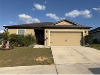 Charming single-story home with a well-maintained lawn, landscaping, and a two-car garage at 411 Ridges Dr, Dundee, FL 33838