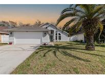 Charming single-story home featuring a well-maintained lawn, attached garage, and a beautiful palm tree in the front yard at 8982 Fort Jefferson Blvd, Orlando, FL 32822