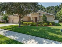 Charming single-story home featuring a well-manicured lawn and a two-car garage at 619 Meadow Sage Dr, Deland, FL 32724