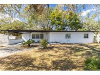 Charming single-story home featuring a covered carport, fresh white paint and well-maintained landscaping at 403 Louis St, Leesburg, FL 34748